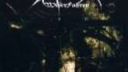 WiderFahren - Dark Dynasty