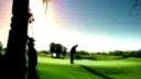 Sranda pri golfe