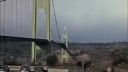 video Kolaps mostu v Tacome USA