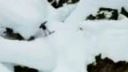 Art of Flight