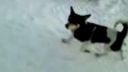 Naše agility