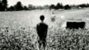 Oasis - Won't Let You Down