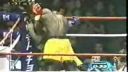 Ray Sefo K1 highlights