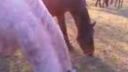 Kone