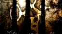 Korpiklaani - With Trees