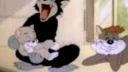 Tom a Jerry - Mačiatko