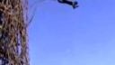 Pôvod bungee jumpingu - domorodci z Vanuatu
