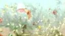 RuneScape Cinematic Trailer