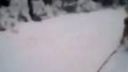 Srandovné Videa 4 - zážitky roku 2012