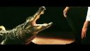 Bring Me The Horizon - Aligator blood