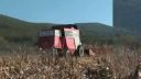 Luko.zk - 02 - 2011 - 49 - Massey Ferguson 7278