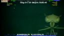video Podmorská obluda v Mexickom zálive