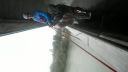 Rope Swing Bratislava