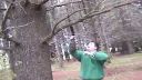 video Tučiprd ide loviť veveričky