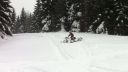 Snezny skuter orava