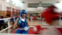 Moj 6 zapas v Boxe