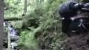 video Útok medveďa na kameramana