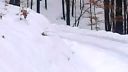 LKT a šip