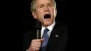 Bush rapp